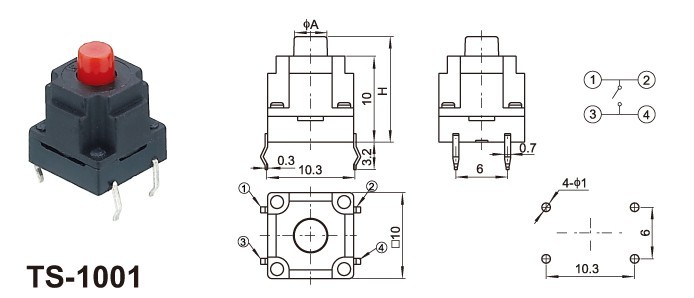 TS1001