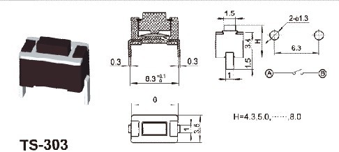TS303