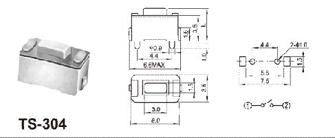 TS304