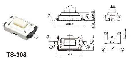 TS308