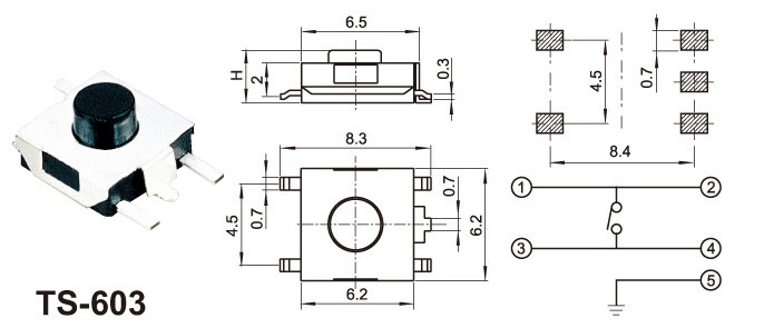 TS603