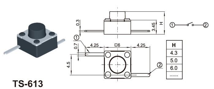 TS613