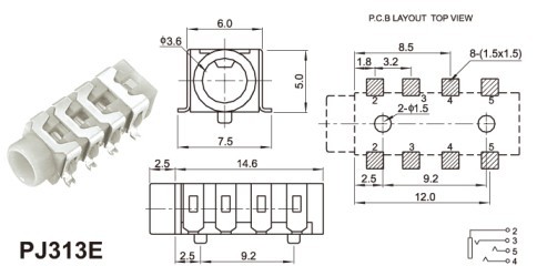 PJ313E